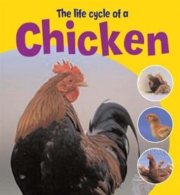 The Life Cycle of a Chicken