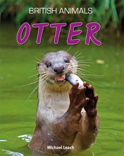Otter