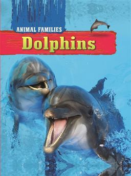 Dolphins