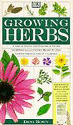 Growing Herbs