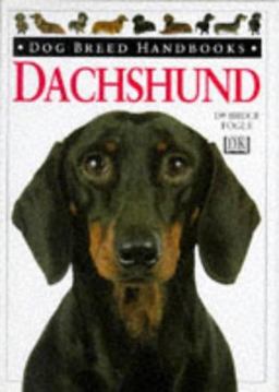 Dachshund
