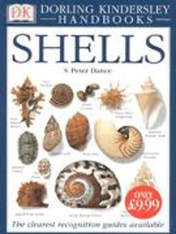 Shells