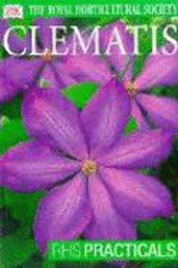 Clematis