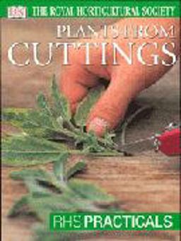 Plants from Cuttings