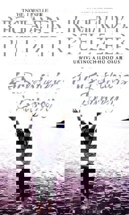 Brother's Journey  9780751536003 Front Cover