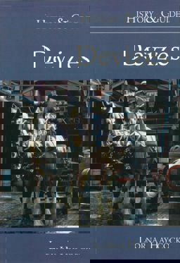 Devizes History and Guide 2nd 9780752421599 Front Cover