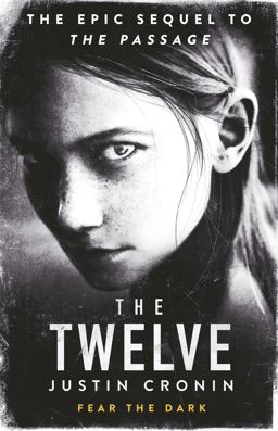 Twelve 'Will Stand As One of the Great Achievements in American Fantasy Fiction' Stephen King  9780752883335 Front Cover