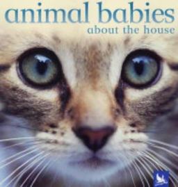 Animal Babies about the House