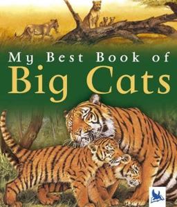 My Best Book of Big Cats