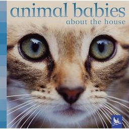 Animal Babies about the House