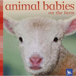 Animal Babies on the Farm
