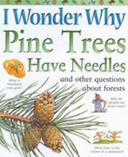 I Wonder Why Pine Trees Have Needles