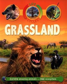 Life Cycles: Grassland