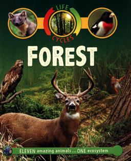 Life Cycles: Forest  9780753442852 Front Cover