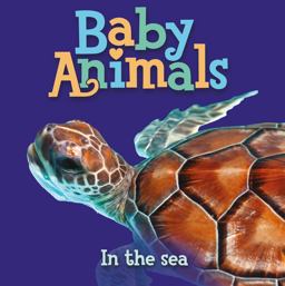 Baby Animals in the Sea  9780753466896 Front Cover