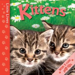 Little Lives - Kittens