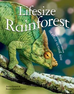 Lifesize: Rainforest