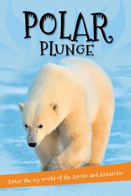 It's All about... Polar Plunge