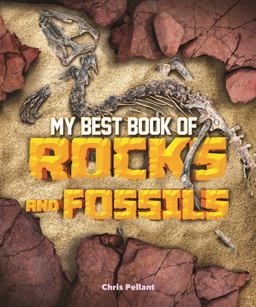 My Best Book of Rocks and Fossils My Best Book of Rocks and Fossils