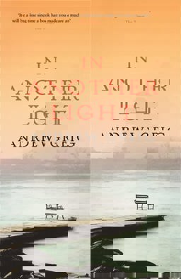 In Another Light  9780753820070 Front Cover