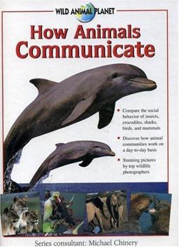 How Animals Communicate