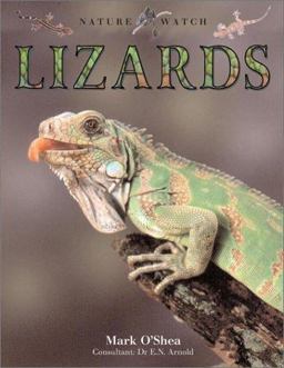 Lizards