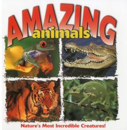 Amazing Animals