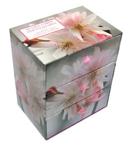Three-Drawer Card Box Featuring 60 Beautiful Gift Cards and Envelopes