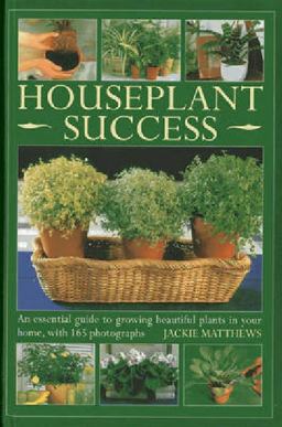 Houseplant Success