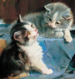 Kittens