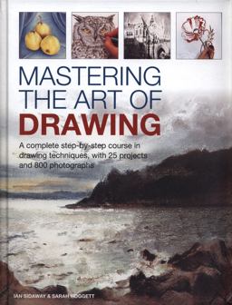 Mastering the Art of Drawing
