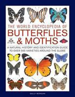 The World Encyclopedia of Butterflies and Moths