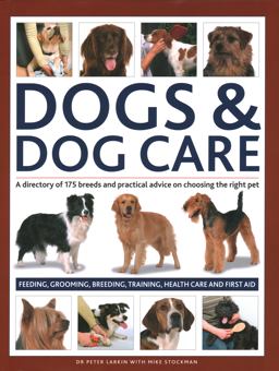 Dogs and Dog Care