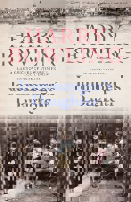 Ironmonger's Daughter  9780755340408 Front Cover