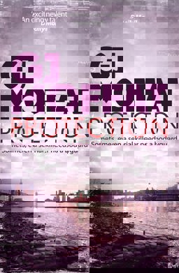 Protection  9780755360802 Front Cover