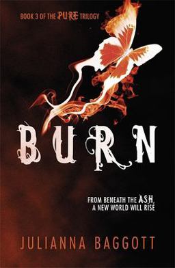 Burn  9780755385584 Front Cover