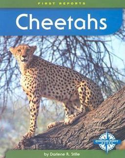 Cheetahs