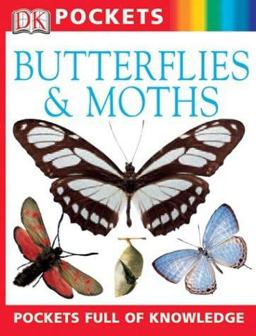 Butterflies and Moths