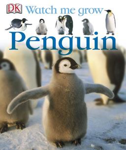 Penguin