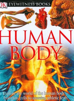 Human Body