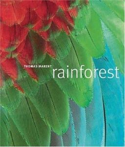 Rainforest  9780756619404 Front Cover