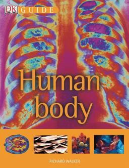 Human Body