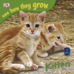 See How They Grow - Kitten