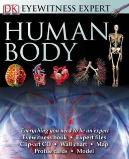 Human Body