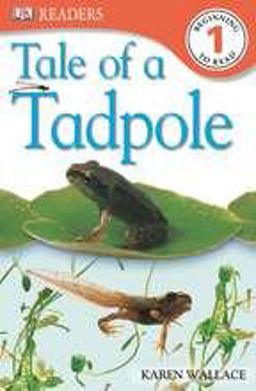 Tale of a Tadpole, Level 1