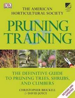 Pruning and Training