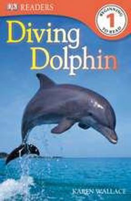 Diving Dolphin Level 1