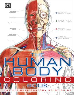 Human Body Coloring Book The Ultimate Anatomy Study Guide  9780756682347 Front Cover