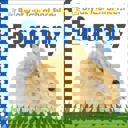 Baby Touch and Feel: Bunny  9780756689872 Front Cover