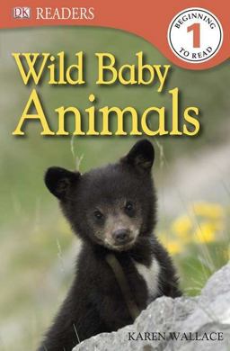 Wild Baby Animals, Level 1